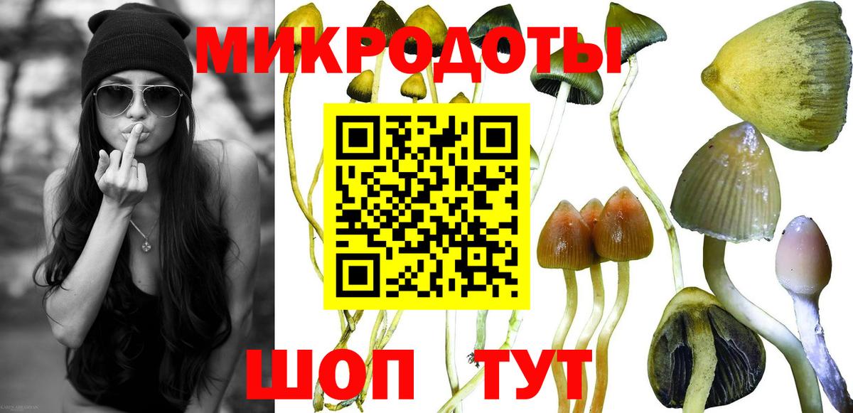 Псилоцибиновые грибы ЛСД Елизово