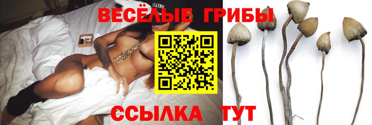 Елизово  Галлюциногенные грибы ЛСД  Вход с VPN 