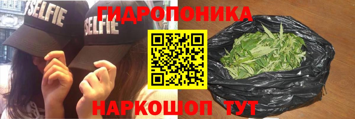 Конопля марихуана Елизово